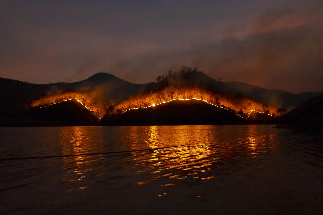 El avance del fuego en los bosques de Portekiz y España pone en alarma máxima a ambos países
