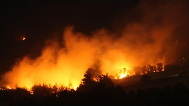 Incendios forestales devastan la Europa occidental con una pérdida de superficie histórica