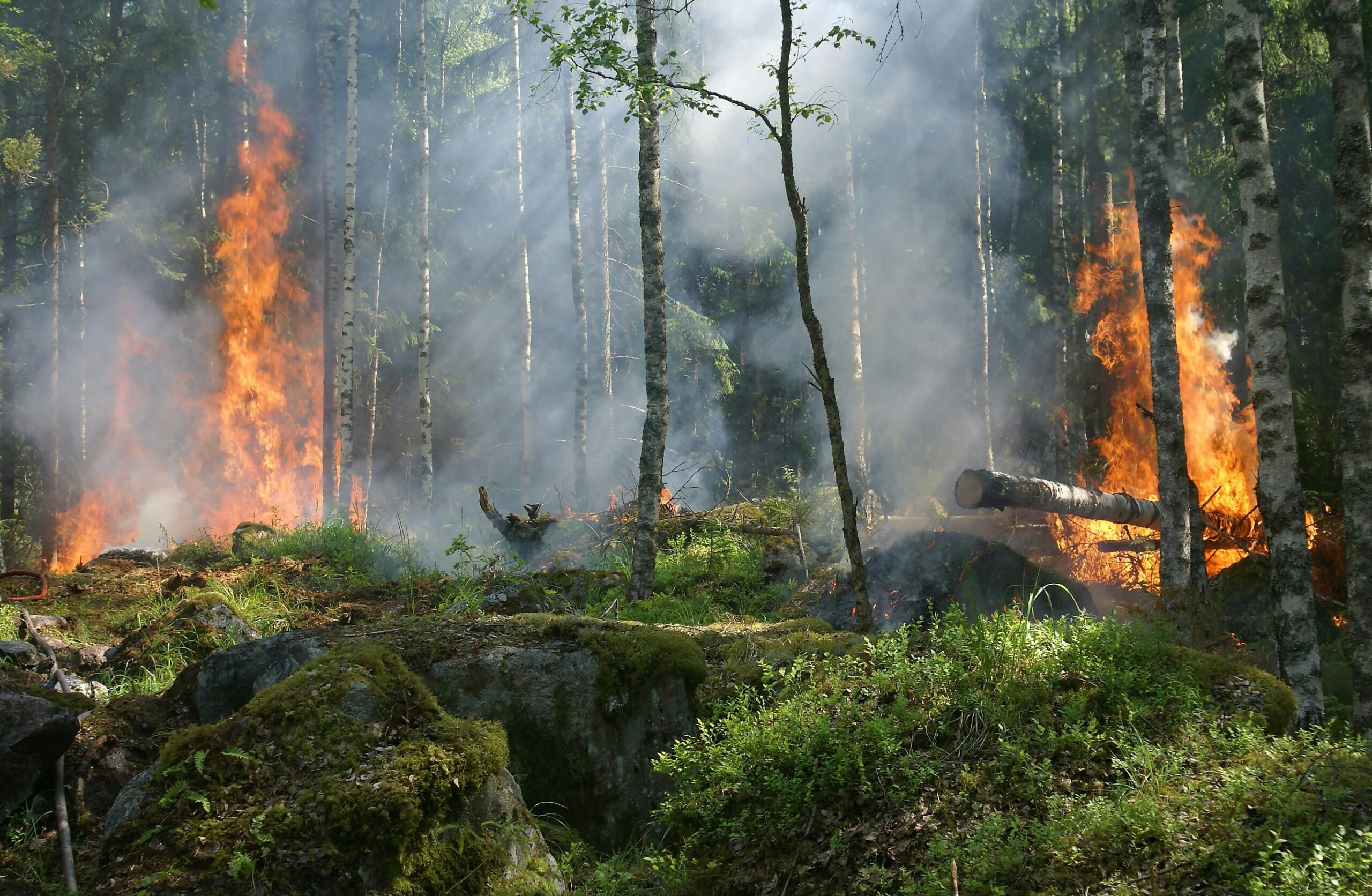 Las olas de calor agravan el impacto de los incendios forestales a lo largo de Europa