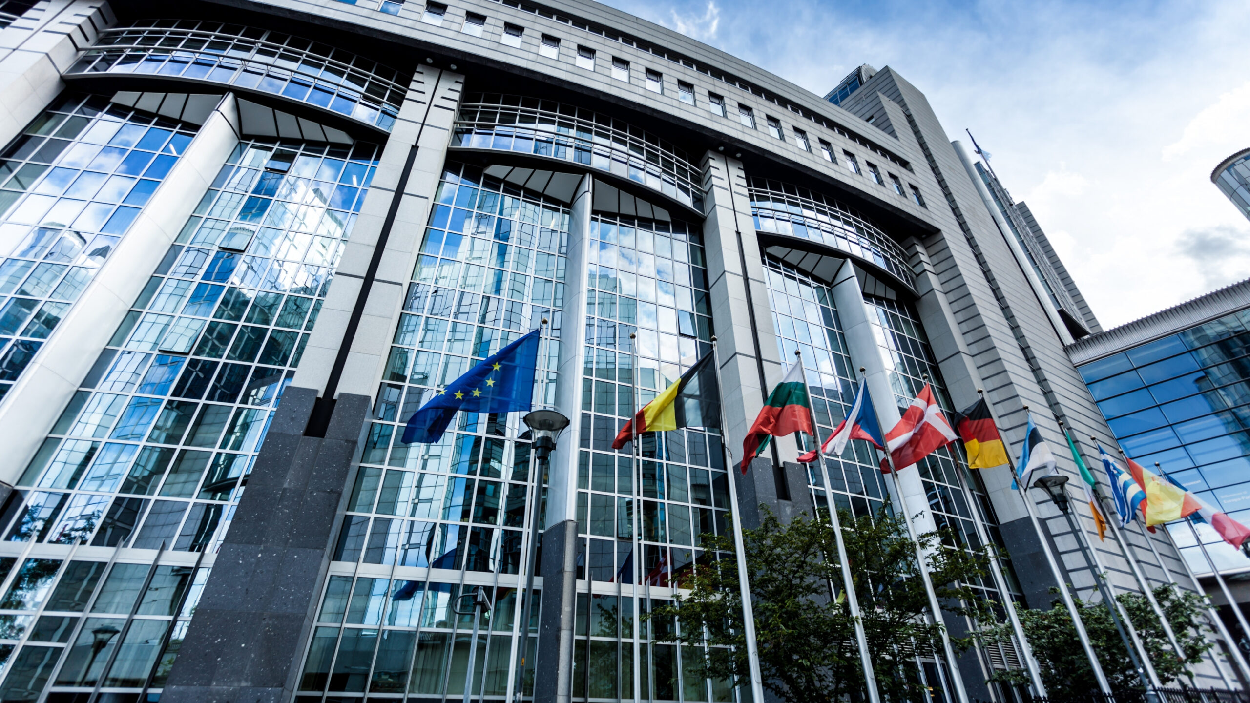 Aprobada la reforma que introduce el carné de conducir digital en toda la Unión Europea